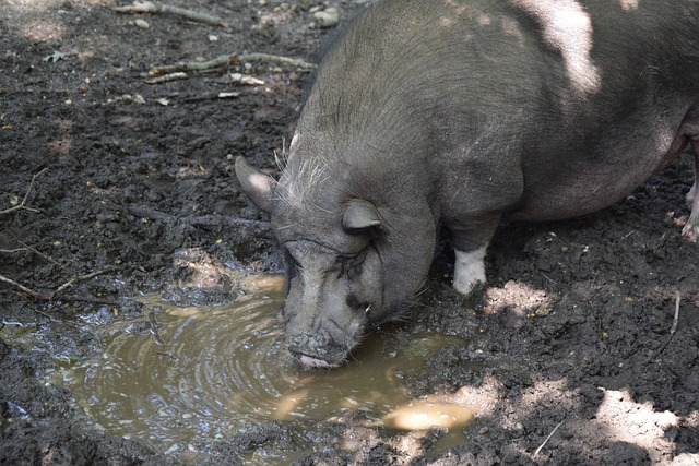 告位堪称 告位堪称