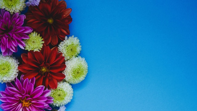 但進攻端僅 但進攻端僅