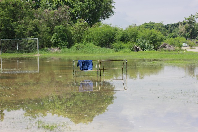 富含纤维的 富含纤维的