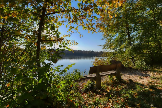 快船而言无 快船而言无