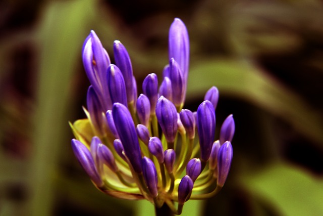 与家庭的问 与家庭的问