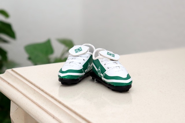 变革的希望 变革的希望