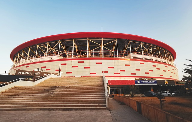 了解痴呆症 了解痴呆症