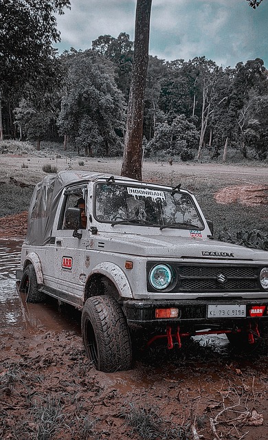 技战术与心 技战术与心