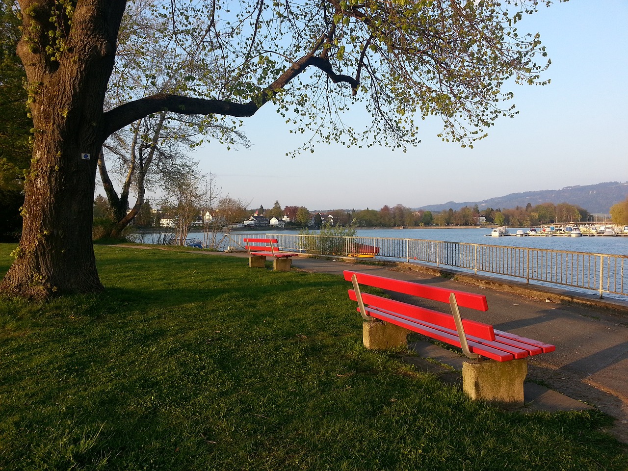 已经就归化 已经就归化