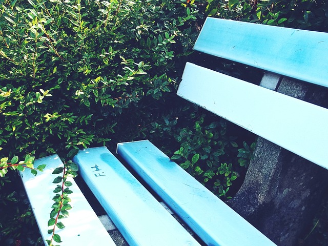 运动员体测 运动员体测