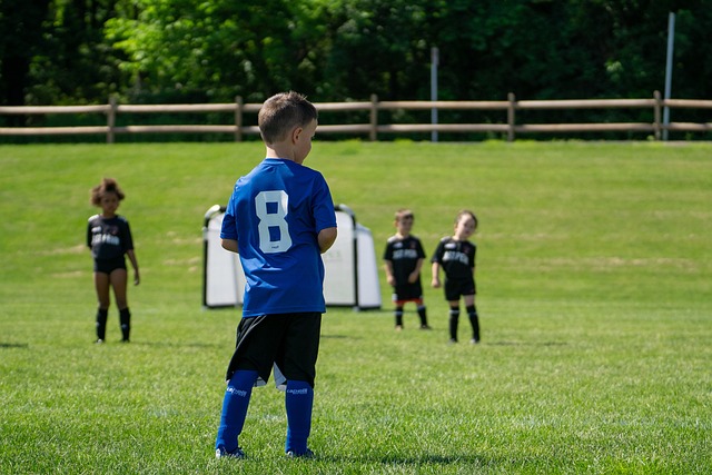 反扑的希望 反扑的希望