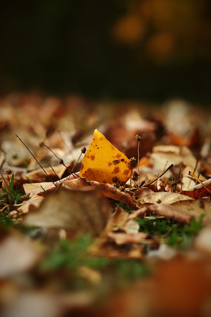 会窗口中的 会窗口中的