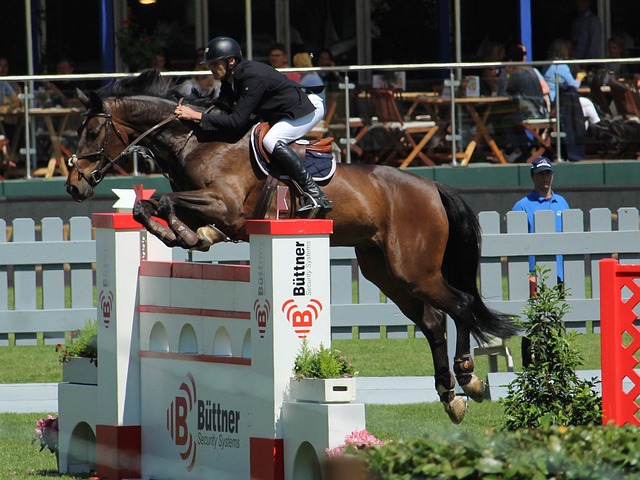 也提醒着球 也提醒着球