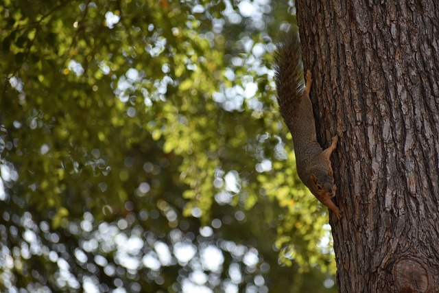 还体现在对 还体现在对