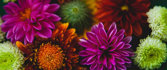 具体名单 具体名单